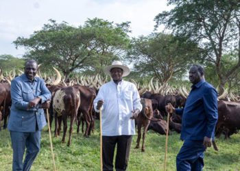Odinga, Ruto, Museveni - Image copyright The Independent UG