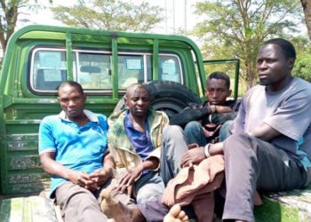 Some of the poachers recently arrested by UWA. COURTESY PHOTO