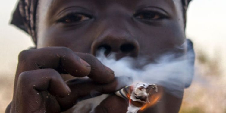 Marijuana smoke irritates the lungs. Image may be subject to copyright