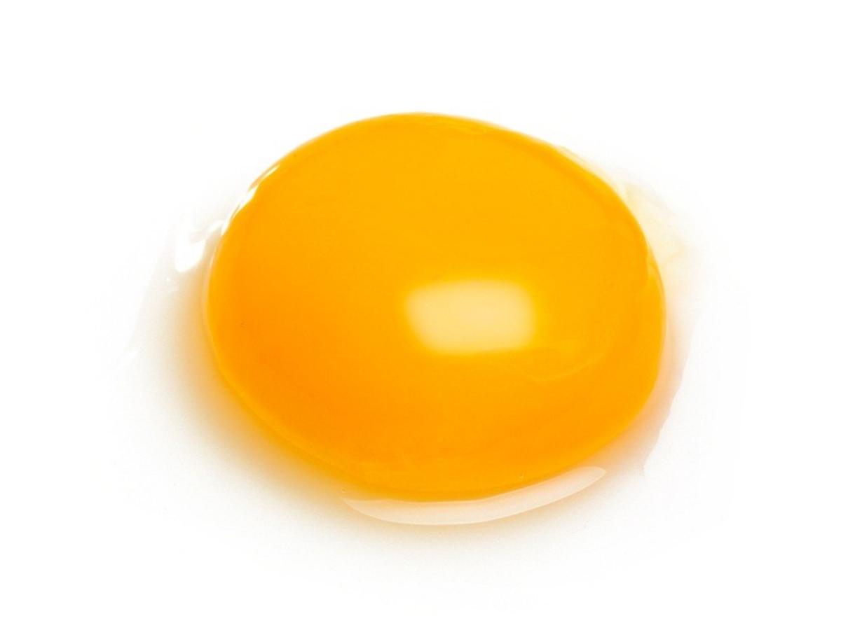 Egg Yolk