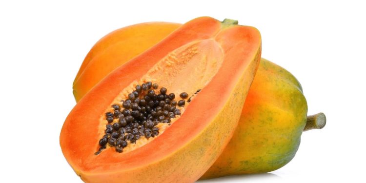 Papaya (Pawpaw)