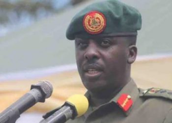 Gen. David Muhoozi, the Minister of State for Internal Affairs, tried to mask this failure with feeble excuses, blaming delays within the National Identification and Registration Authority (NIRA) for the chaos. Image maybe subject to copyright.