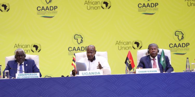 H.E. Yoweri Kaguta Museveni, President of the Republic of Uganda and H.E. Joao Lourenco, President of the Republic of Angola and First Vice Chair of the African Union at the opening ceremony of the Extraordinary Summit of Heads of States and Government of the African Union in Kampala, Uganda on January 11, 2025.