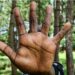 The rights group is calling on authorities to end their clampdown on LGBTQ+ people. Photograph: Abubaker Lubowa/Reuters
